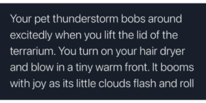 what do you name your pet thunderstorm?