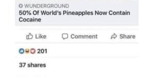 suddenly we all agree about pineapple on pizza