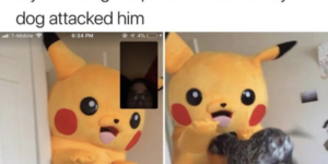 i choose you! the best pokemon memes for those still trying to catch ’em all!
