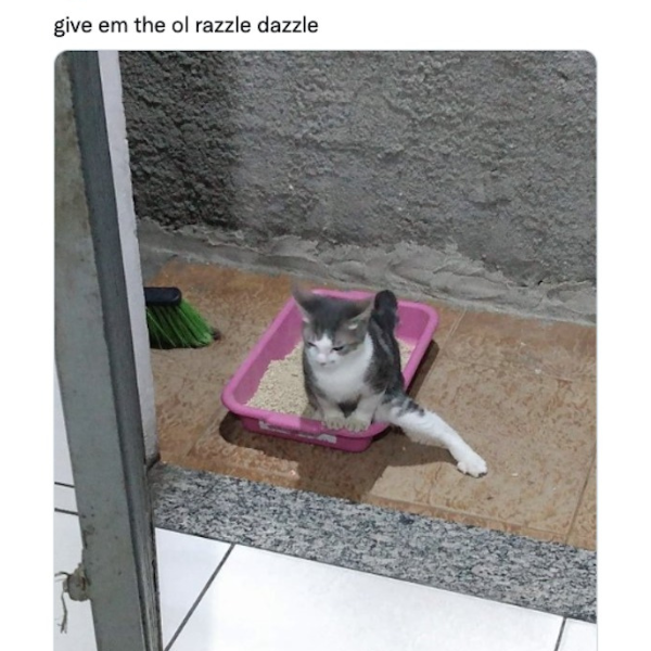The ole razzle dazzle 