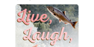 motivational salmon poster