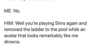 that’s how you play the sims