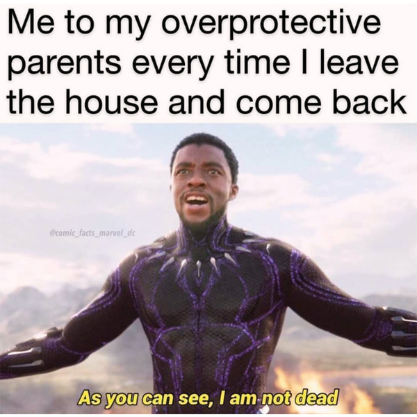 black panther memes because is wakanda really forever or just a disney fabrication designed to sell toys black panther memes because is wakanda really forever or just a disney fabrication designed to sell toys