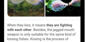 extreme kissing