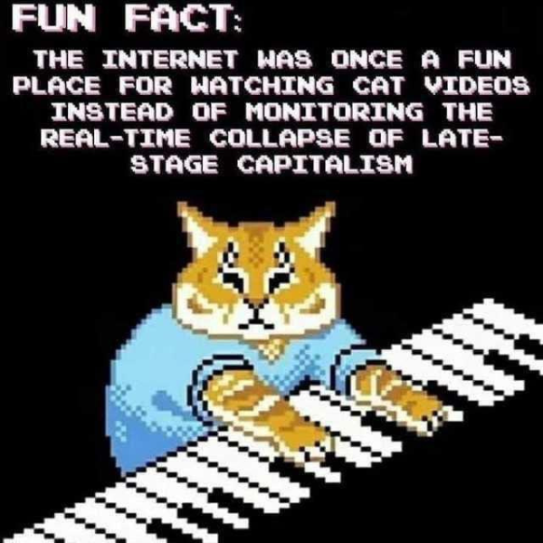 fun-internet-cat-19891.png