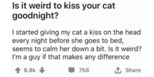 why would you even have a cat if you’re not kissing their tiny soft forehead?