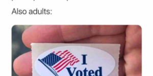 i voted memes because the midterms are here, and not the college kind!