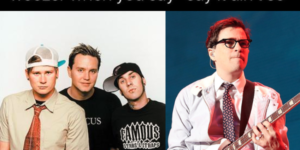 are you a blink 182 or a weezer type?