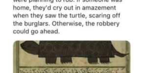 turtle burglar