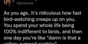 have+you+reached+the+bird+watching+phase+of+your+life+yet%3F