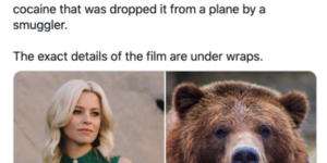 beary entertaining memes because this movie looks absolutely insane