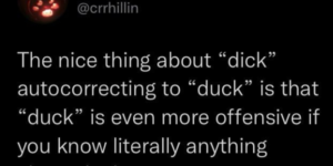 ducks are not nice animals