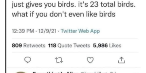 so. many. birds