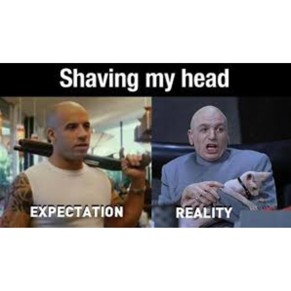 vin diesel memes because... family