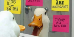 quackity quack quack