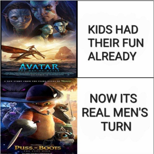 Puss in Boots Memes because it was a Shrek Franchise Movie we Deserved