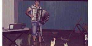cat accordion party