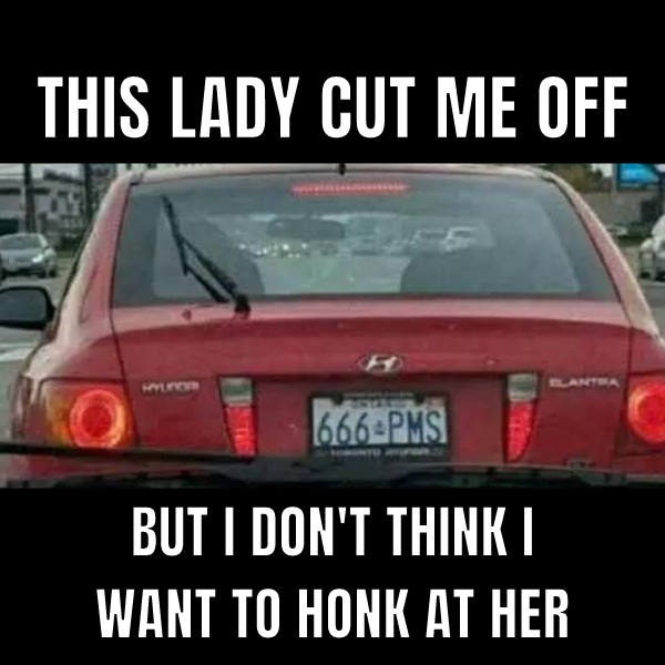 Spring Driving Meme 10 Driving Memes to Take a Brake from your Day