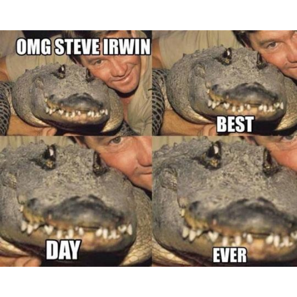 10 Steve Irwin Memes and Quotes to Celebrate his Birthday