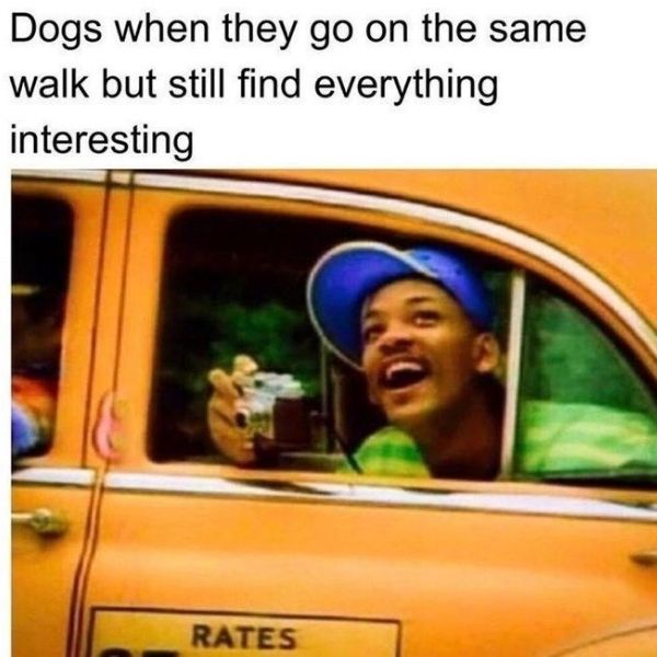 10 Fresh Prince Memes to Chill Out With