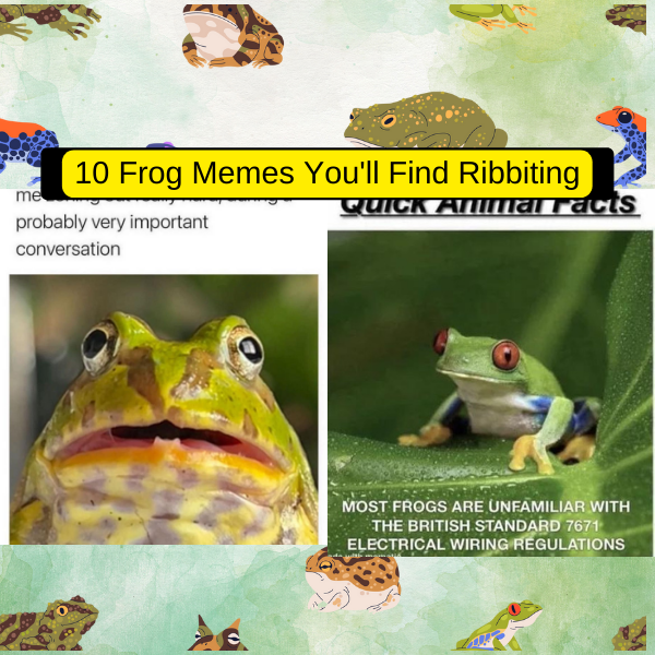10 Frog Memes You'll Find Ribbiting