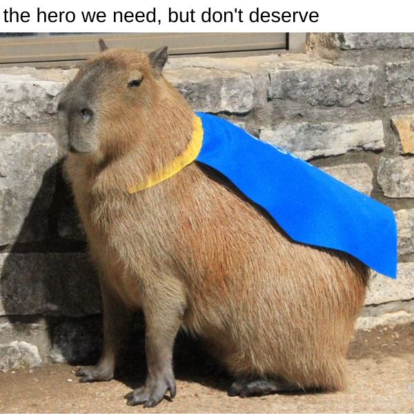 10 Capybara Memes that are Too Cute not to Look at