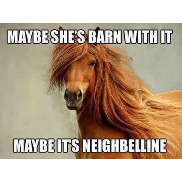 10 Horse Memes that Aren't Horsing Around