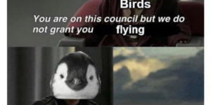 10 Penguin Memes Waddling Your Way