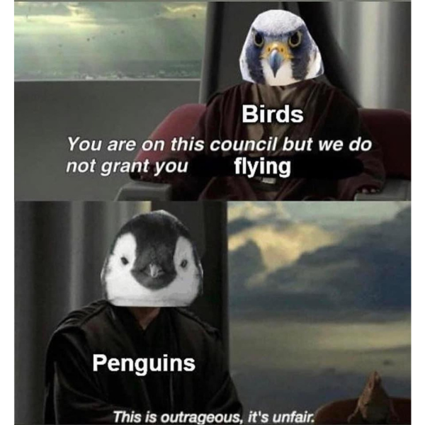10 Penguin Memes Waddling Your Way