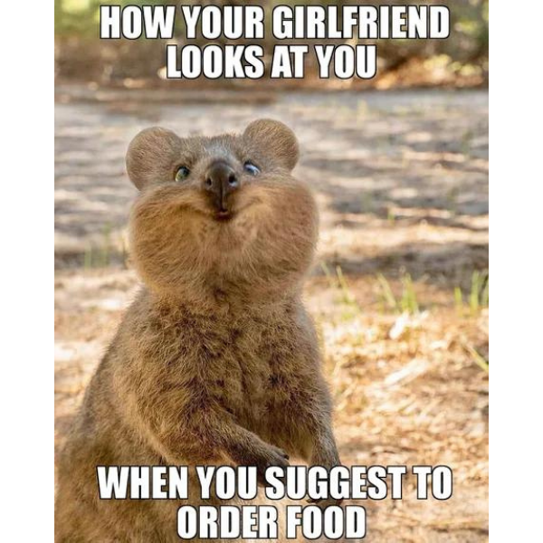 10 Adorable Quokka Memes because They're Just So Cute! I Mean, Just