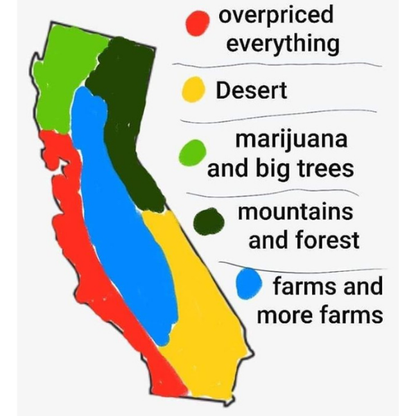 Cali-Memes-7-83949.png