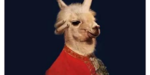 10 Llama Memes that’ll Make you Do a Spit Take