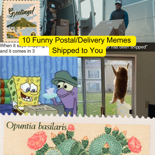 10 Delivery Memes Shipped to You