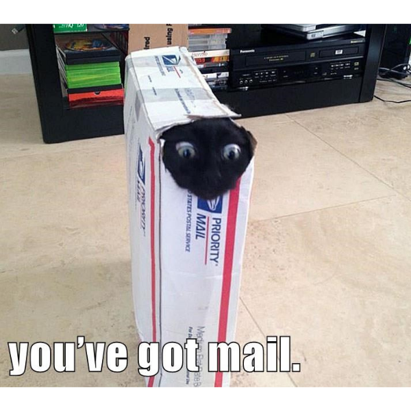 10 Delivery Memes Shipped to You