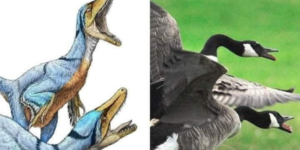 10 Dinosaur Memes to Study