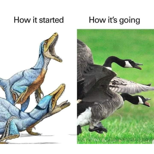 10 Dinosaur Memes To Study 10-dinosaur-memes-to-study