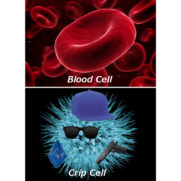 10 Medical Memes to Heal You