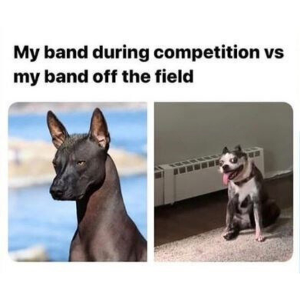 16 Memes You'll Love if You've Played an Instrument