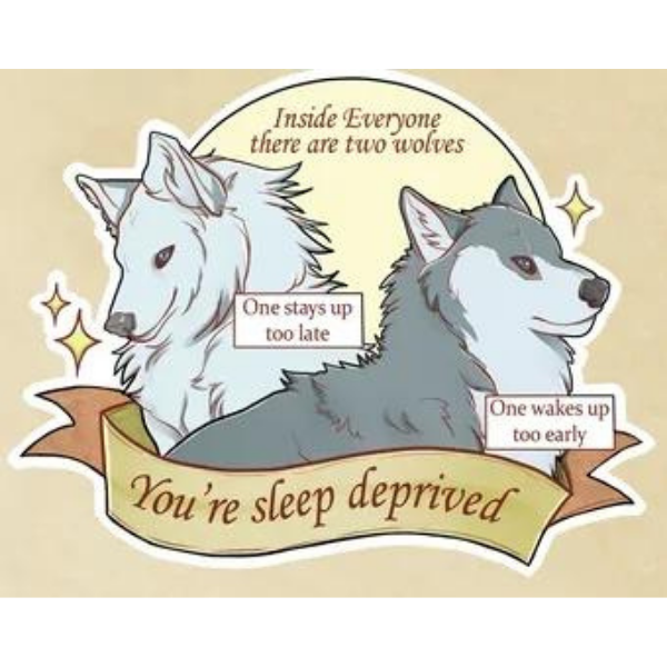 10 Wolf Memes Packed Together