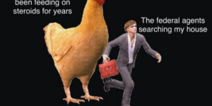 10 Chicken Memes to Cluck You Up