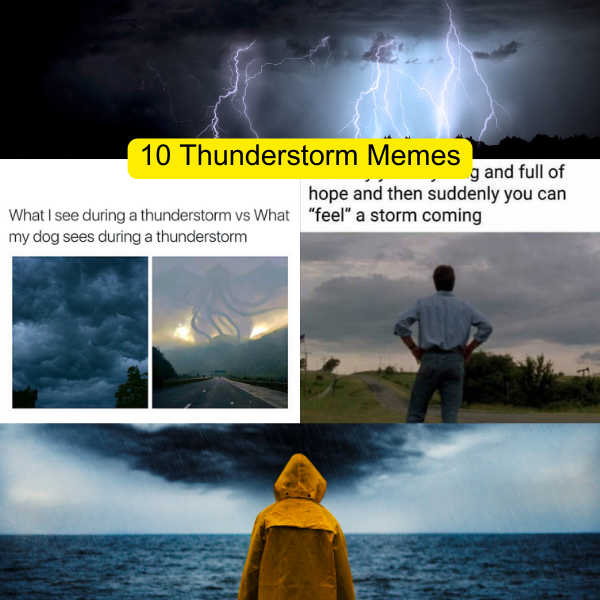 i am the storm that is approaching thunder meme｜TikTok Search