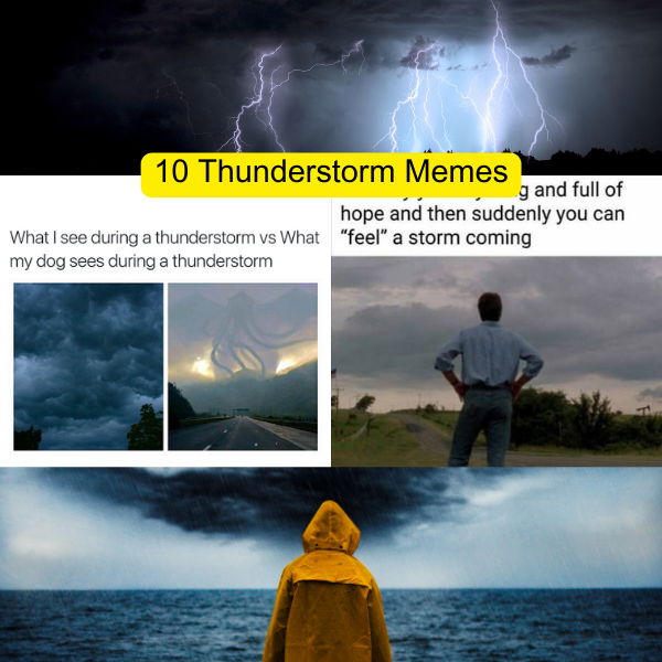 i am the storm that is approaching thunder meme|TikTok Search