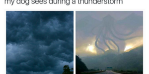 10 Thunderstorm Memes to Jolt you Awake