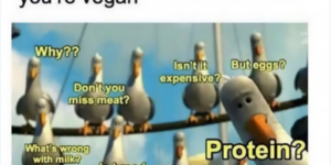 10 Vegan Memes to Prevent Suffering