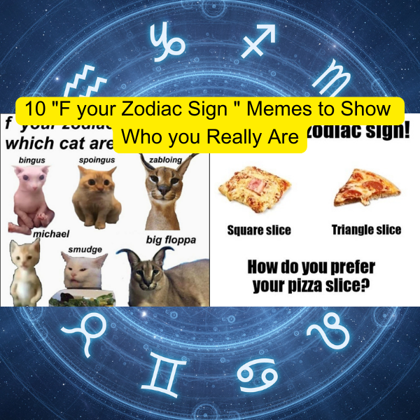 Zodiac cats : r/Floppa