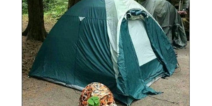10 Camping Memes to Relax With