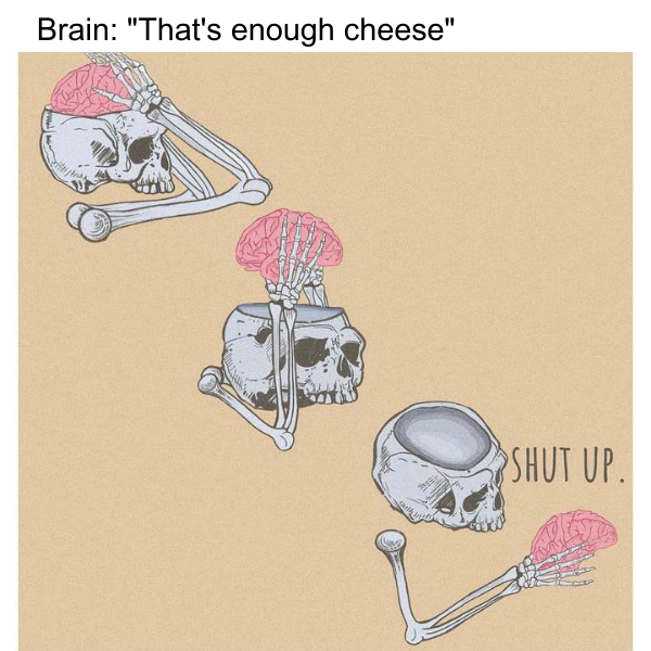 10 Cheese Memes to Eat Up