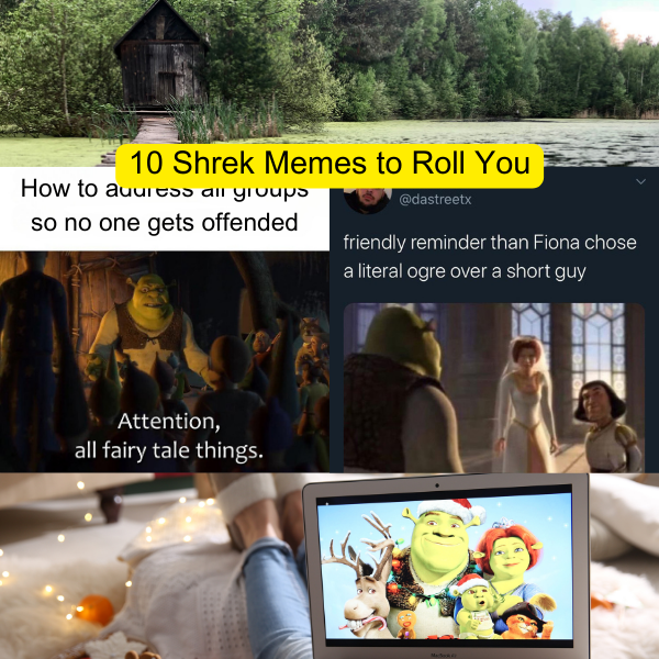 10 Shrek Memes to Roll You