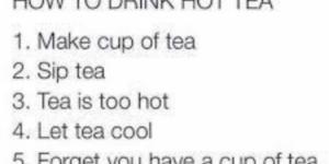 10 Funny Tea Memes to Sip At