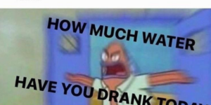 10 Funny Water Memes for your Thirsty Self